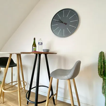 Le Cactus - Beau T2 - 10 Min Du Centre A Pied Et Parking Facile * Quimper